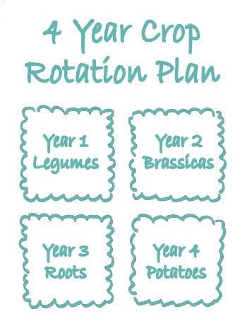 Crop Rotation Plan