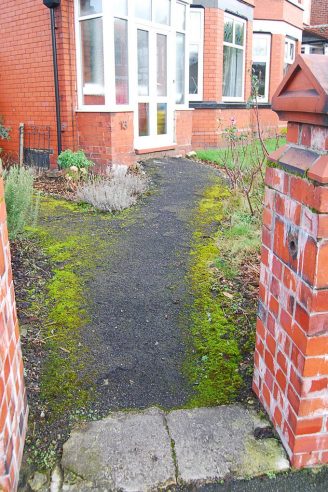 Horrible Garden Path