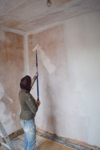 Painting New Plaster