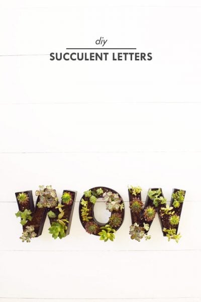 DIY Succulent Letter