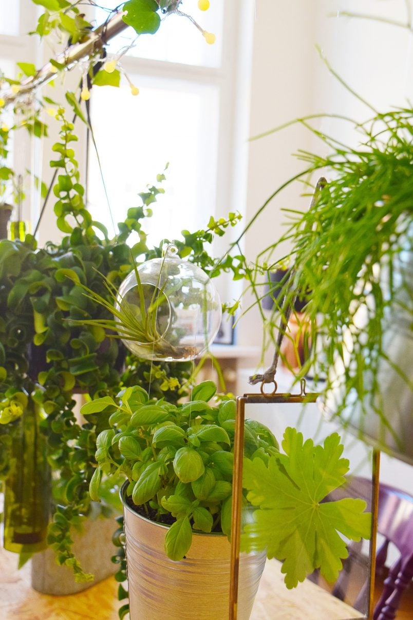 DIY Indoor Vertical Garden | Little House On The Corner
