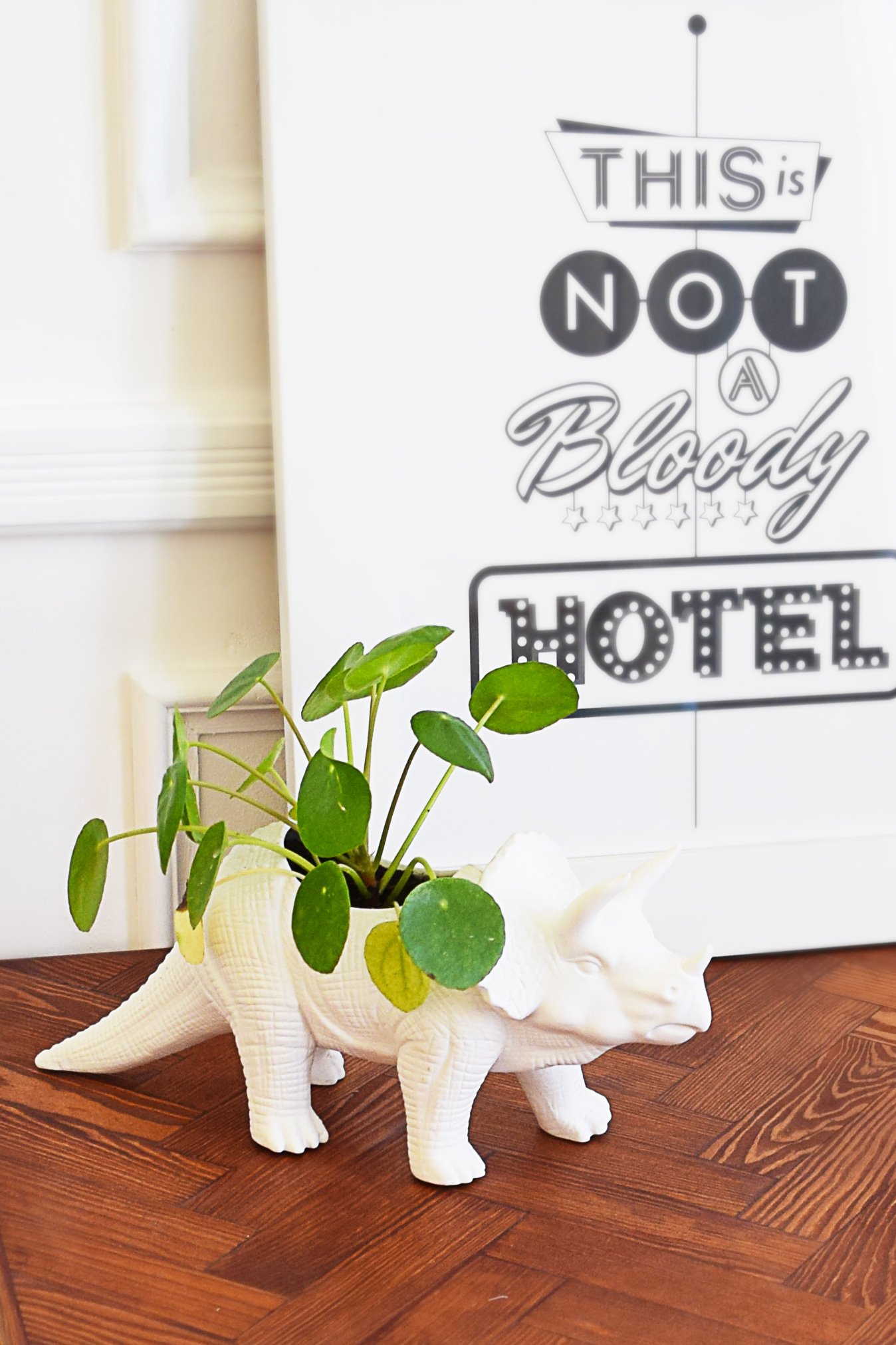 Triceratop Plant Pot From Hurn & Hurn | Little House On The Corner