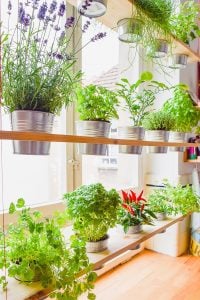 DIY Hanging Herb Garden | Little House On The Corner