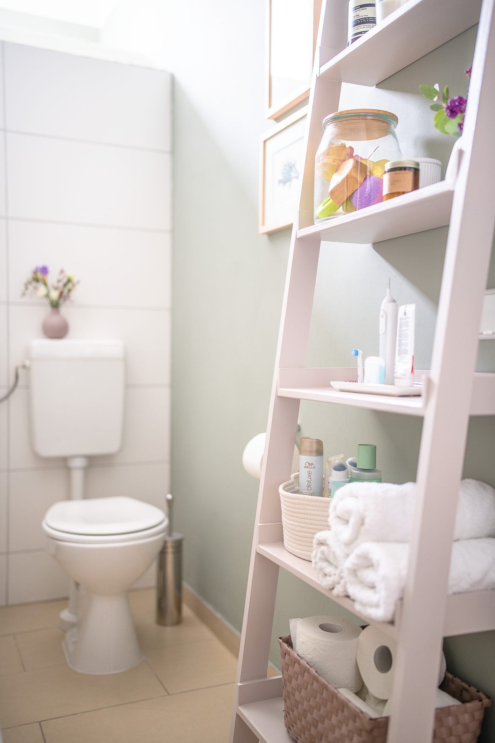 Over the Toilet Storage - Leaning Bathroom Ladder