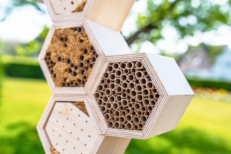 Honeycomb Insect Hotel