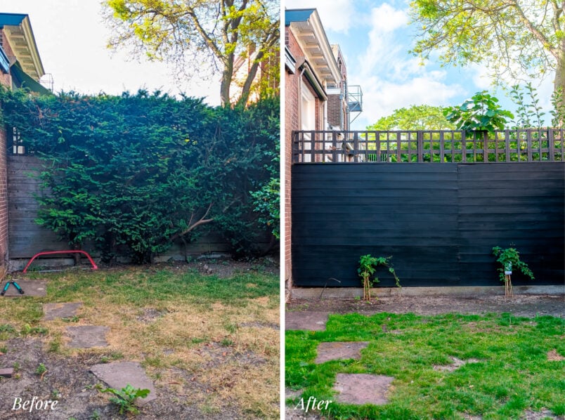 garden makeover with black painted fence