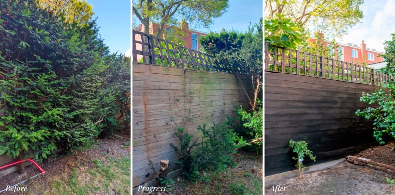 garden transformation with black fence before and after