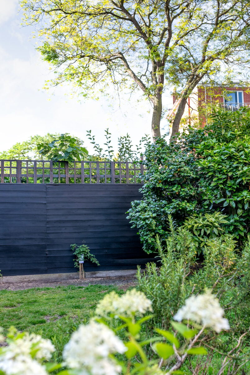 garden with black fence and best fence paint