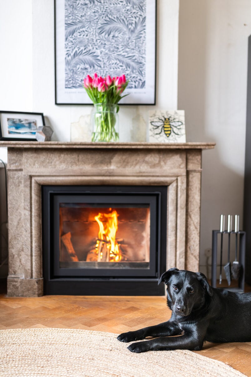 black dog infront of wood burning stove with marble hearth